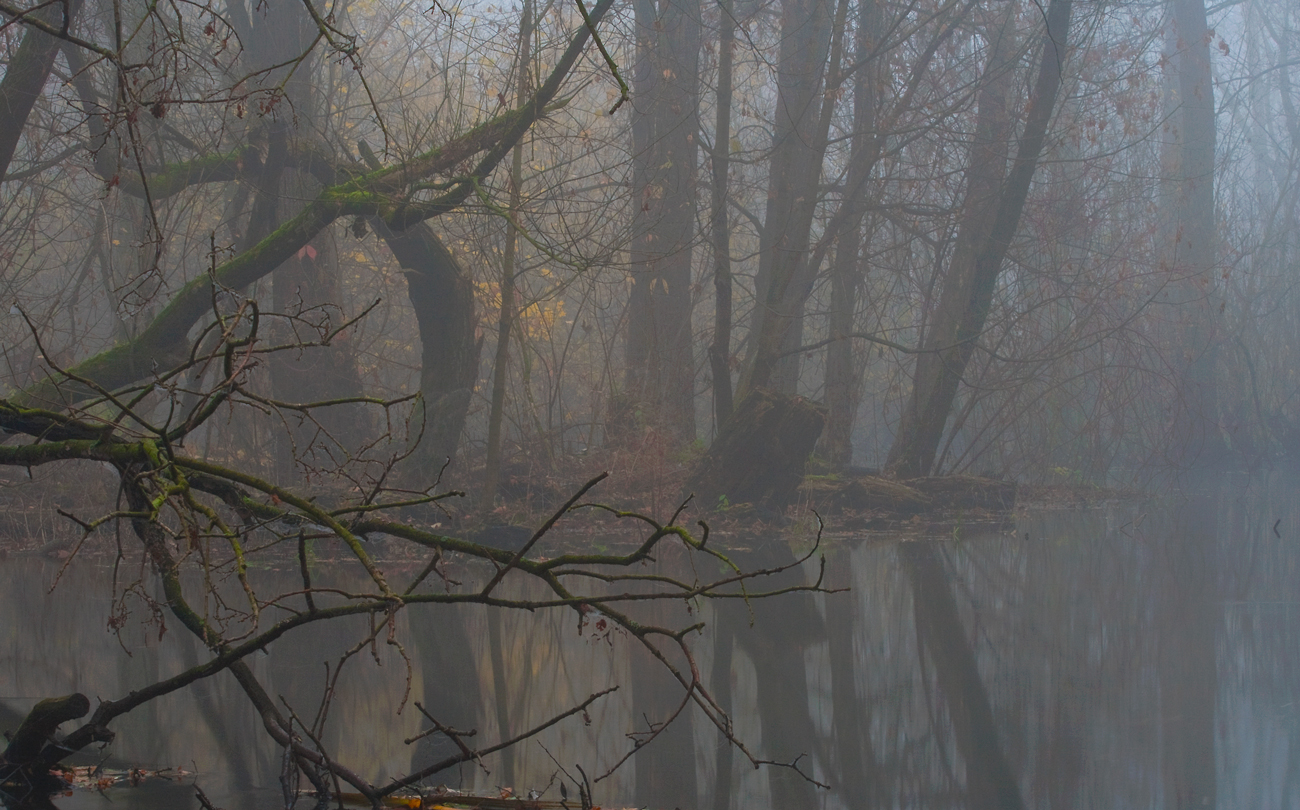 Herbststimmung im Fließtal