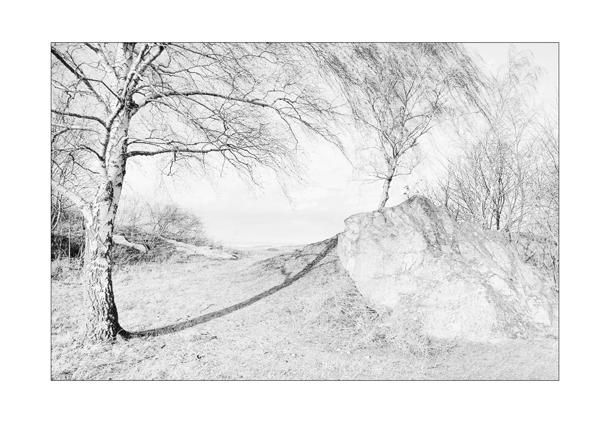 Harzlandschaft