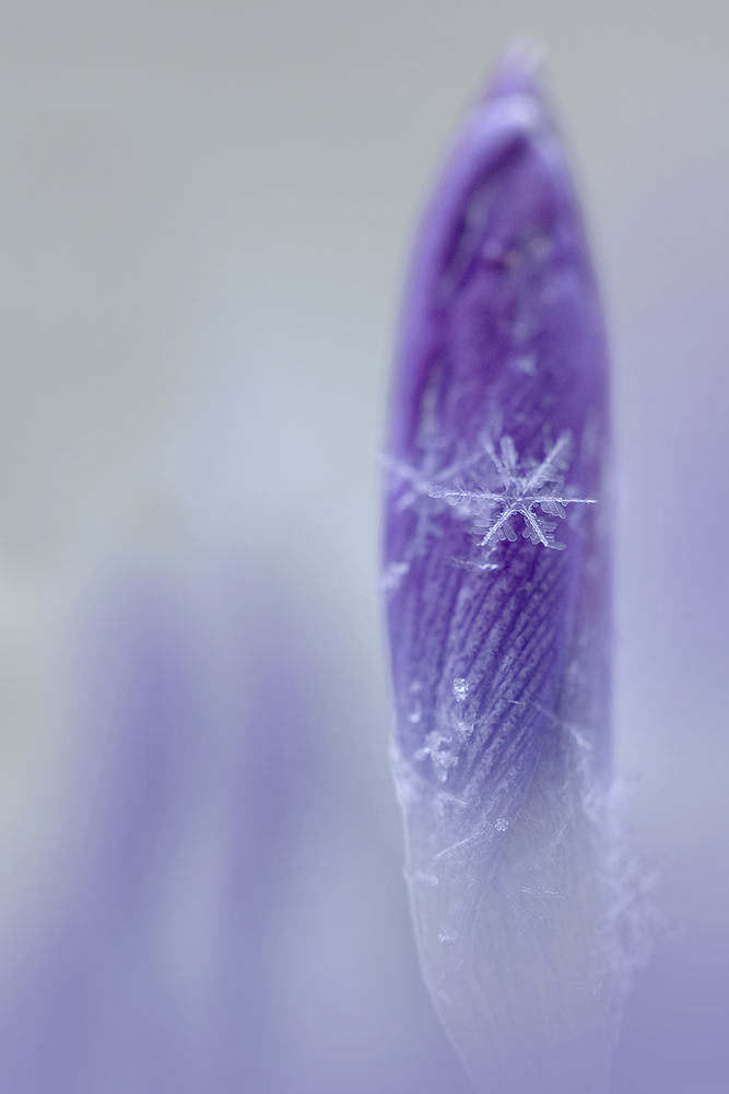 Winter und Frühling