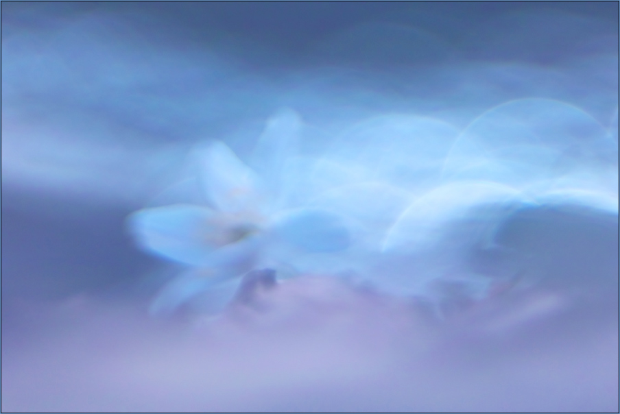 Silent  Lucidity