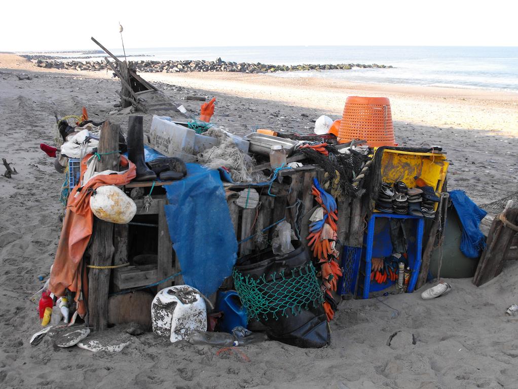 Leben am Strand - Bild 1