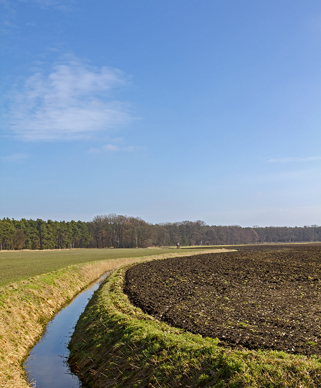 Schaugraben