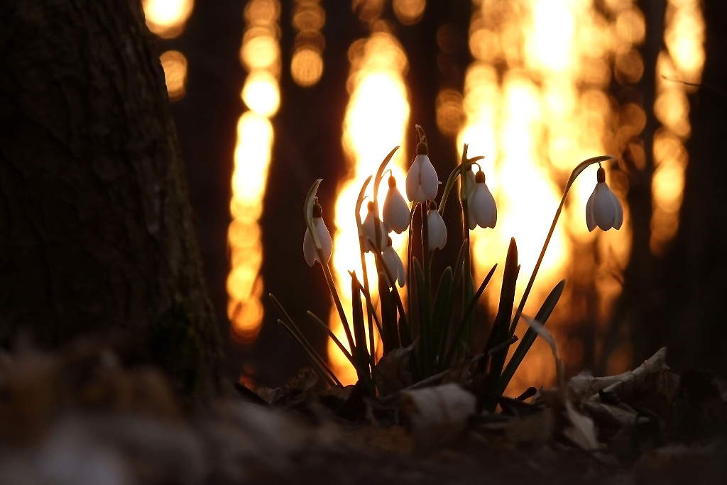 Frühlingssonnenuntergang