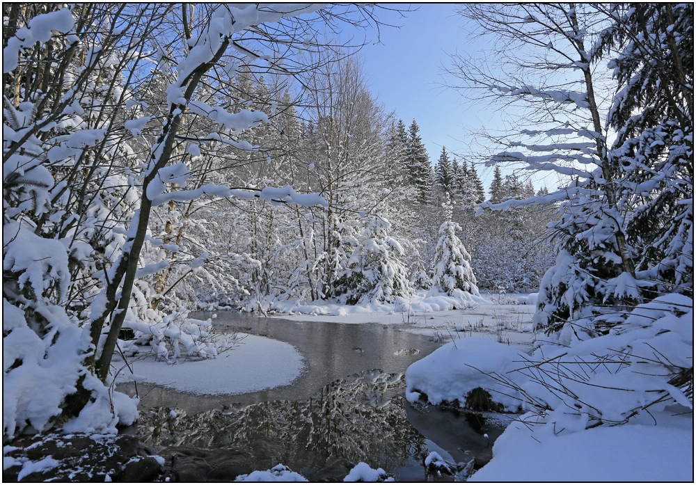 Winter am Teich