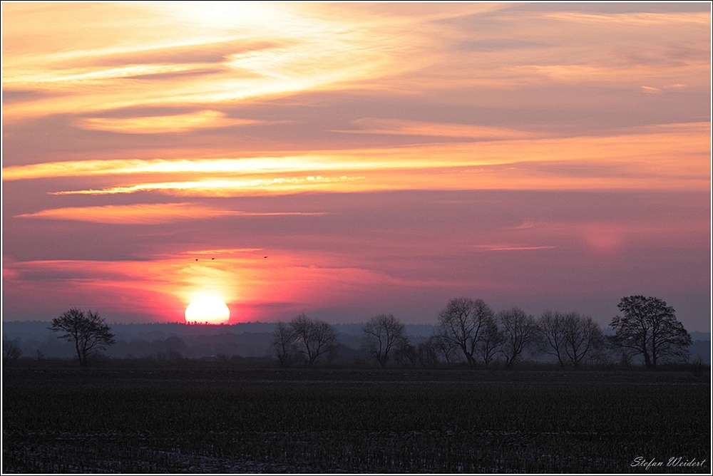 Morgenstimmung