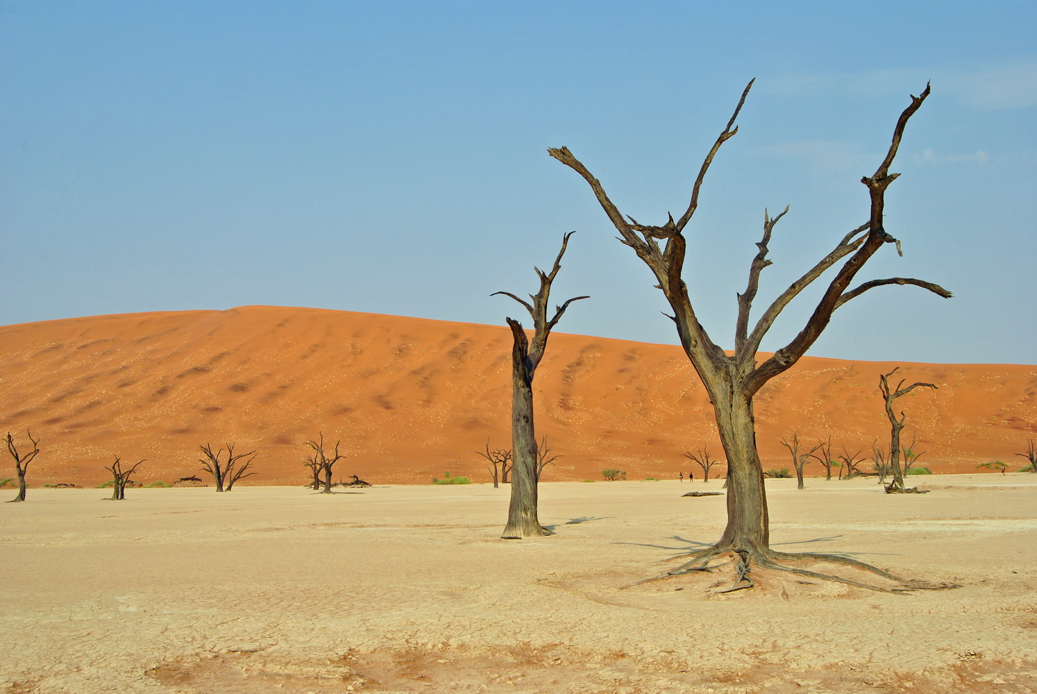 Dead Vlei