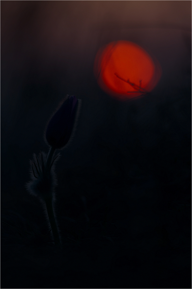 Out of the dark