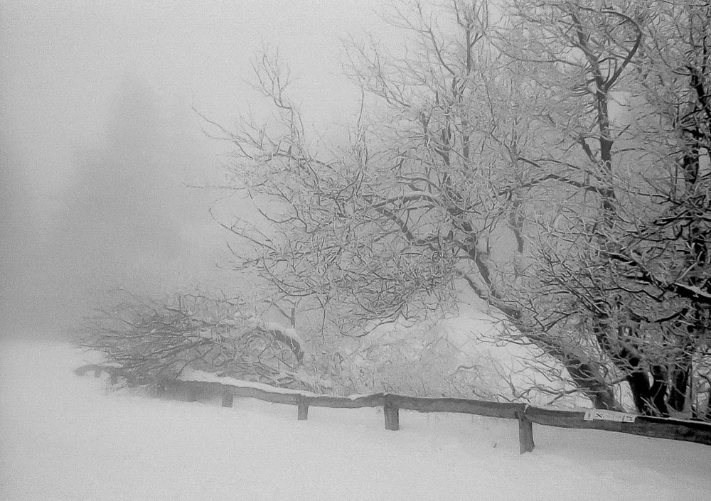 Taunus Feldberg im Nebel "echtes" schwarz-weiß Foto