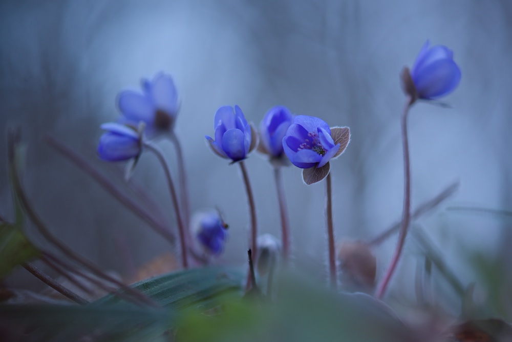 spring is here