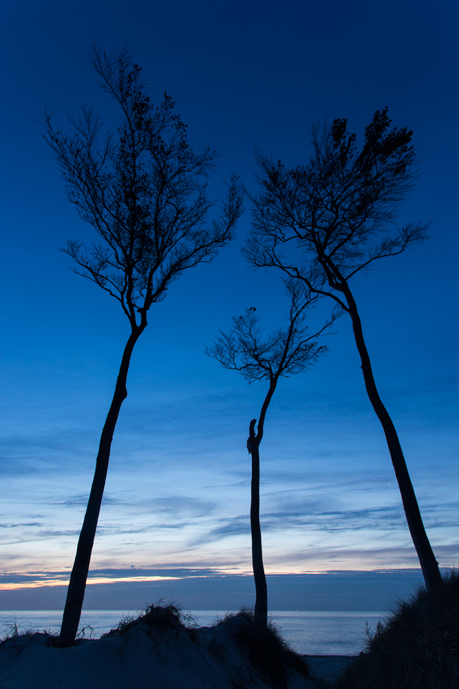 Windflüchter in blau