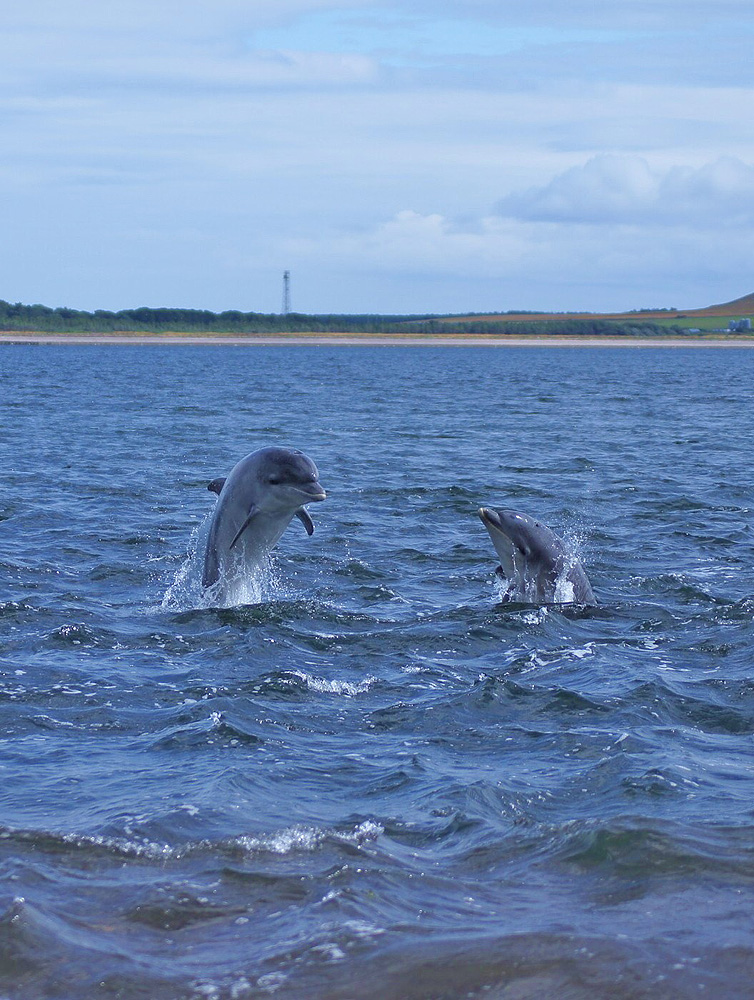 Channonry Point