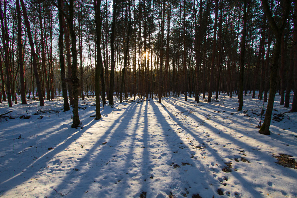 März 2013 im sächsischen Tiefland