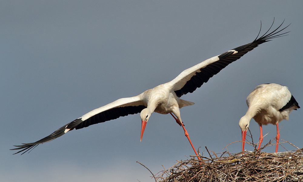 Eleganter Abflug