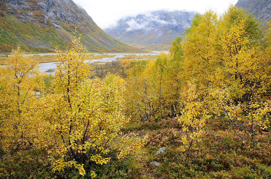 Herbst in Norwegen