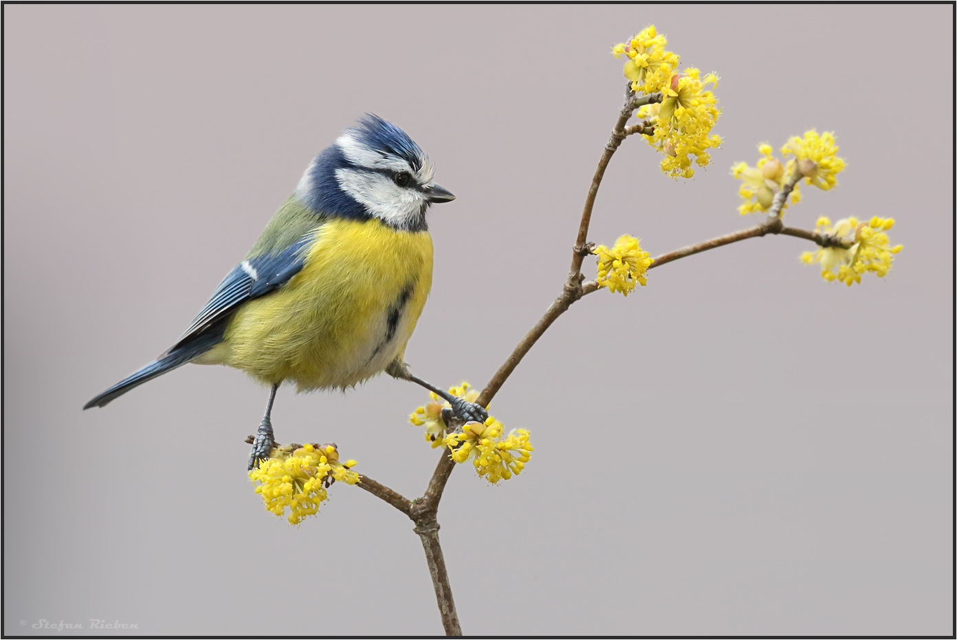 Endlich Frühling