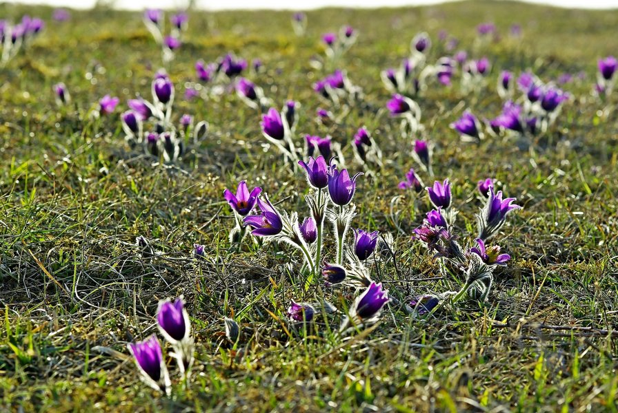 Endlich Frühling