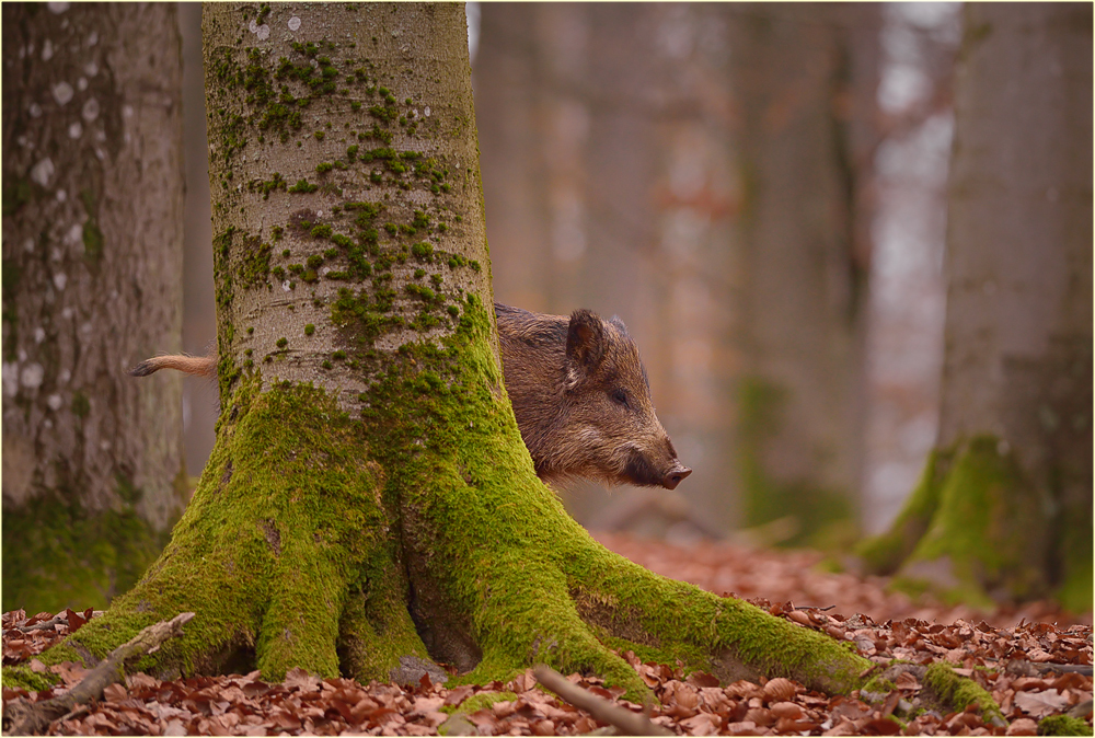 Vorne und hinten