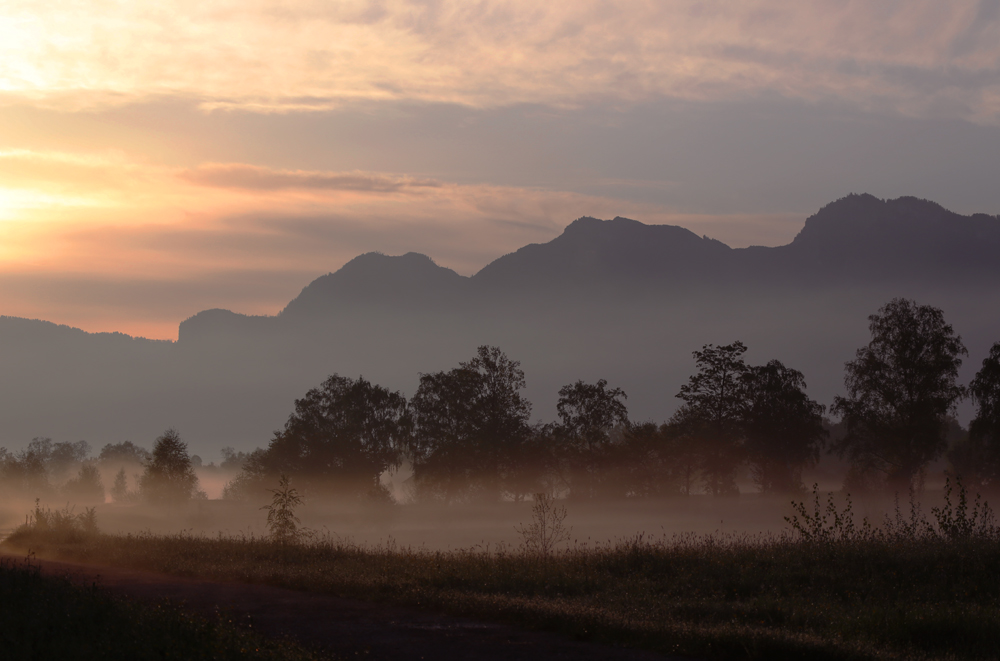 Morgennebel