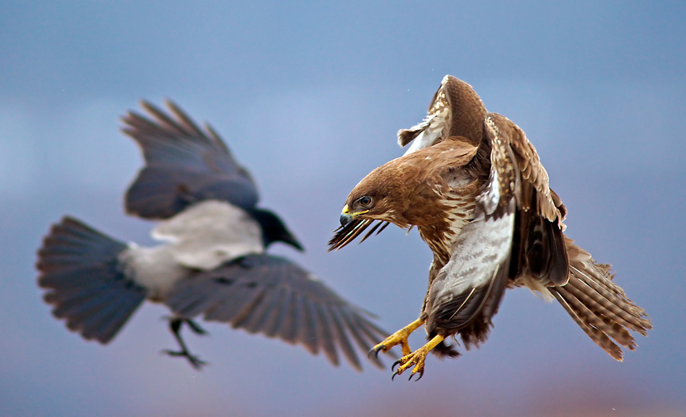 Flugverkehr