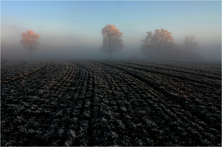 Nebel und Licht