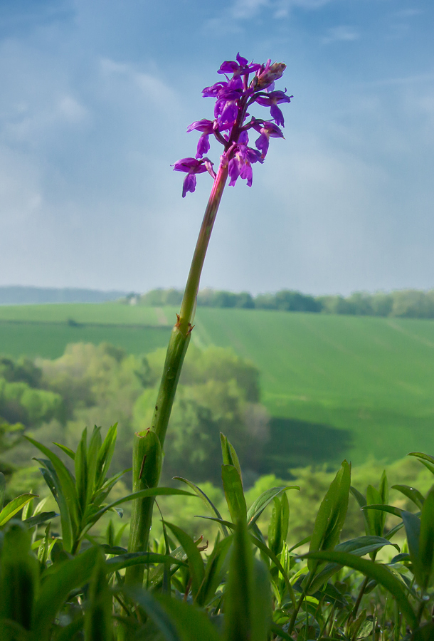 Aussicht