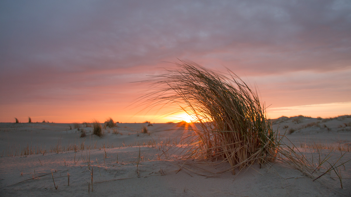 Sonnenaufgang in den Dünen