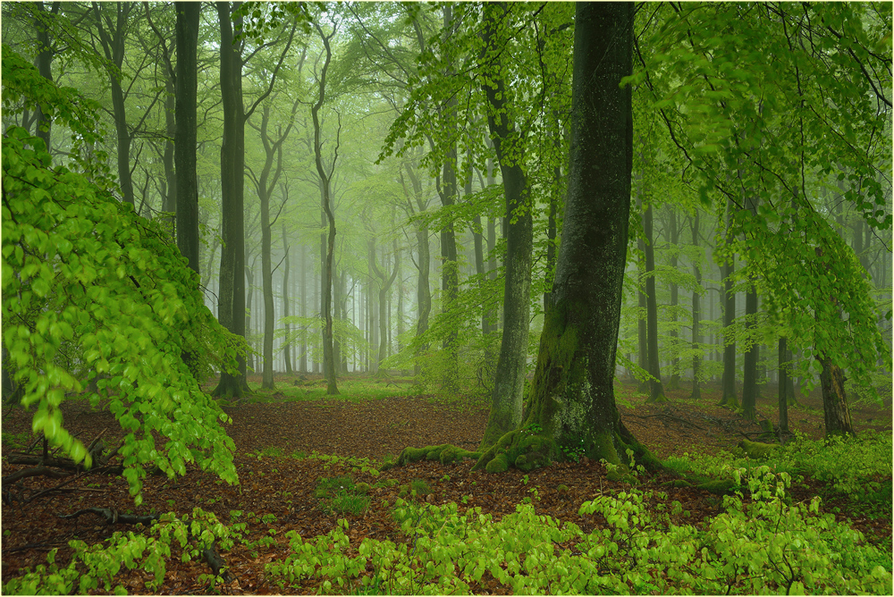 Raindrops keep falling on my head....