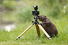 Der Fotograf