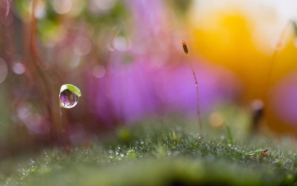 a small world after all