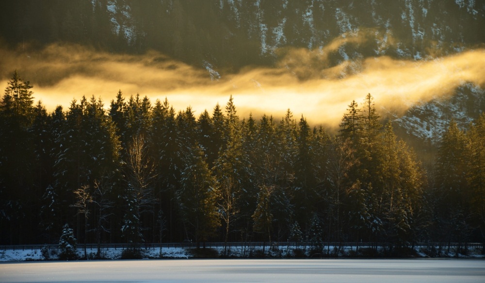 "Sonnennebel" am Obersee / Berchtesgadener Land