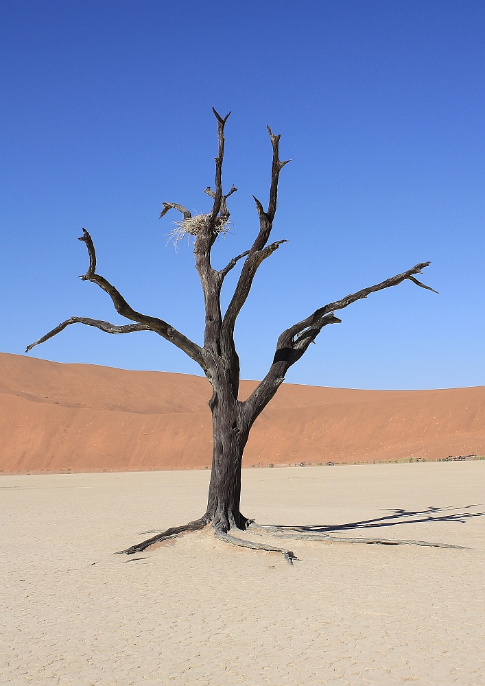 Death Vlei
