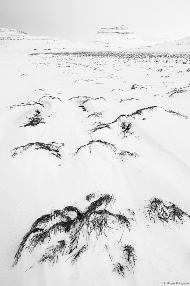 Whiteout