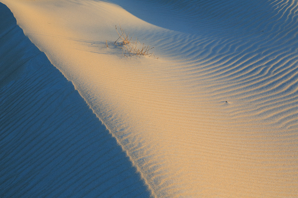 Sand und Licht = Kunst?
