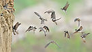 Flugverkehr