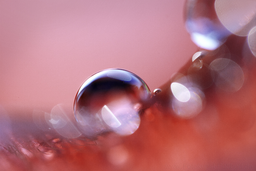 Wasser, Farbe, Reflexionen