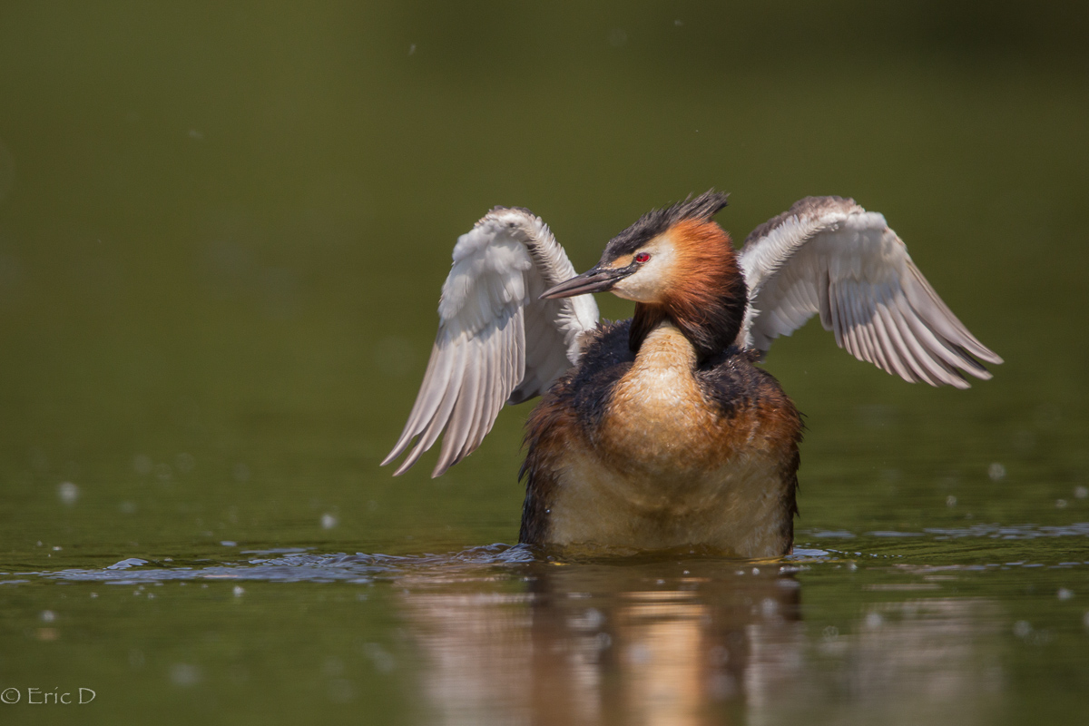 Ein Engel im Paradies