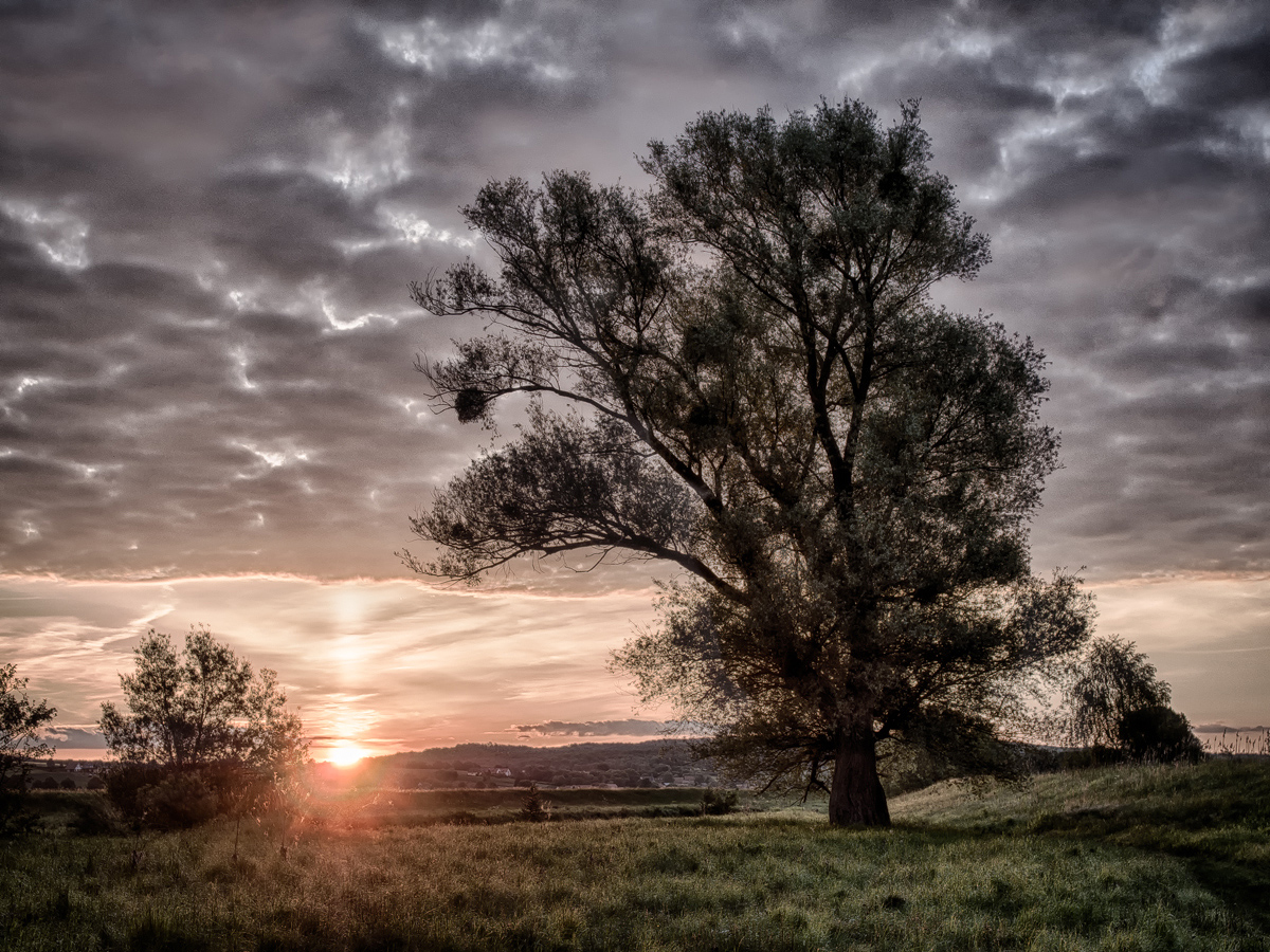 Sonnenaufgangs-Dramatik