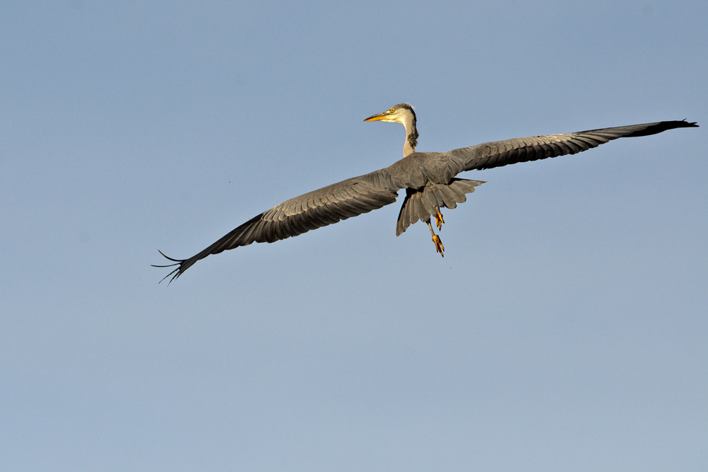 Up up and away