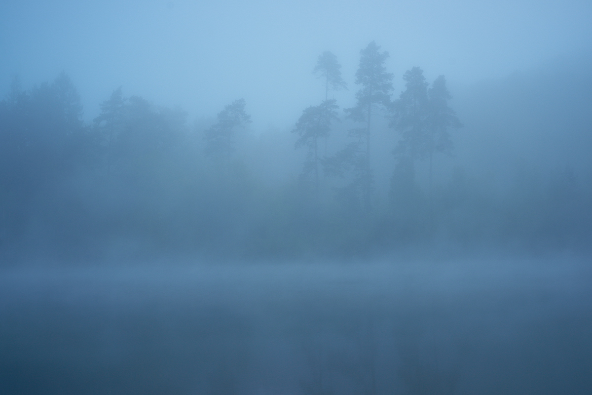 Morgen am See
