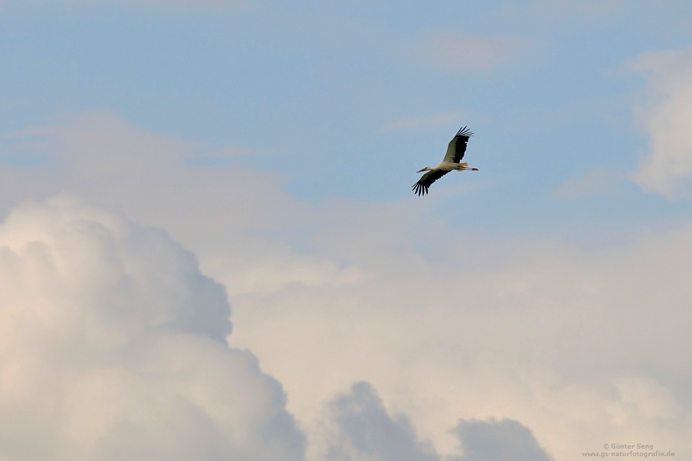 Über den Wolken......