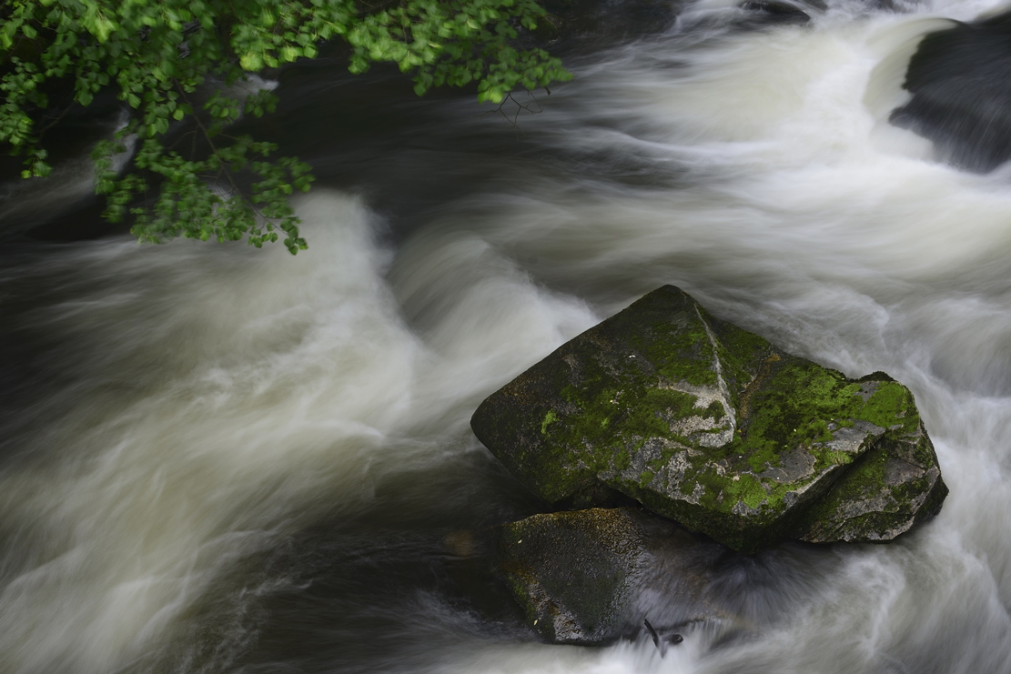 Harz 2013