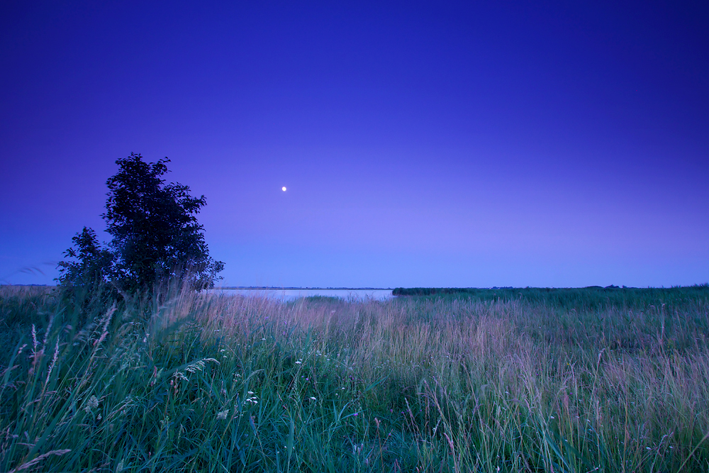 Blaue Stunde