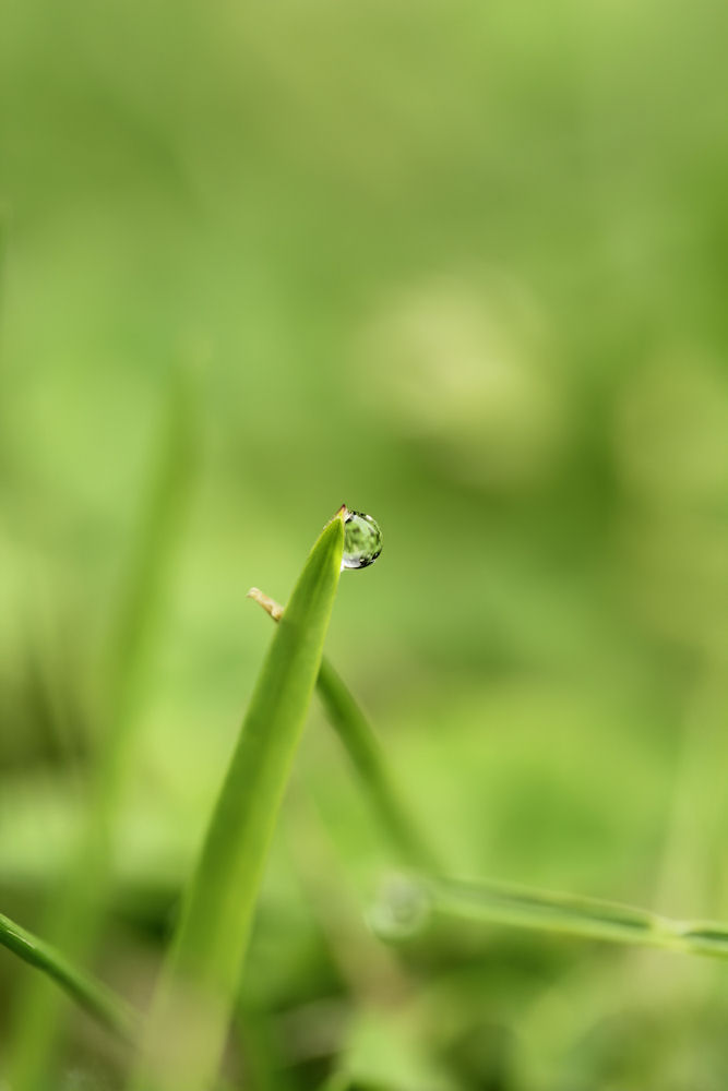 Wassertropfen