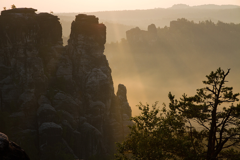 Kleine Gans und Lokomotive im Morgenlicht