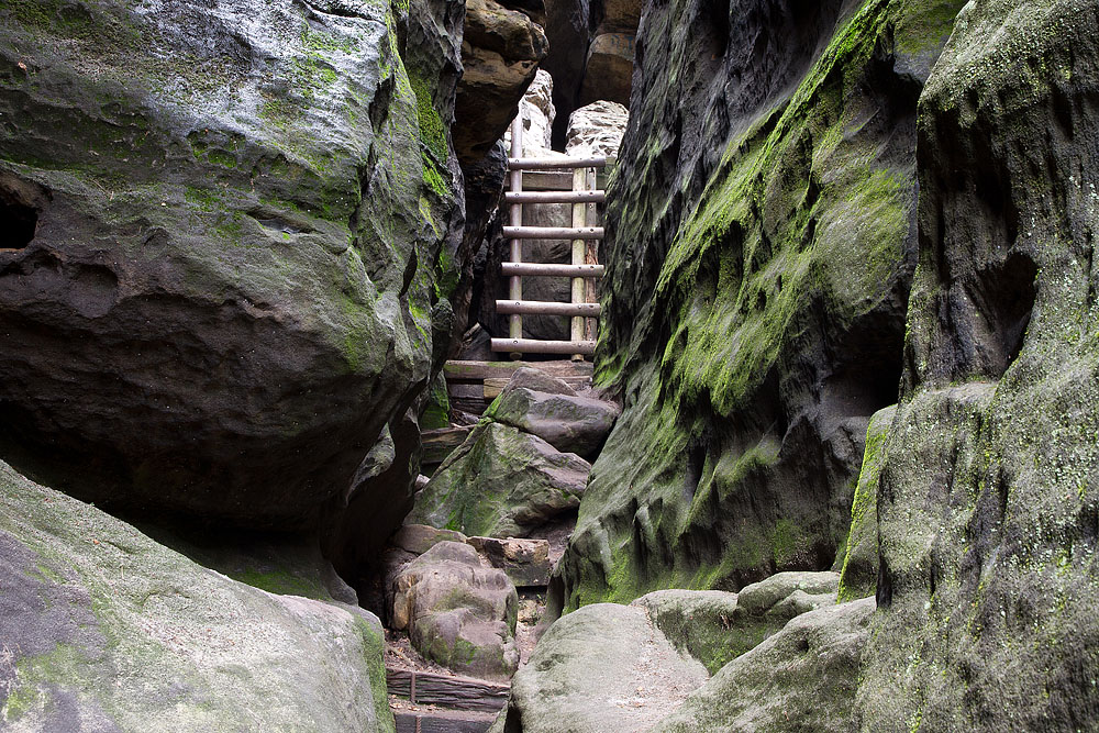 Aufstieg zum Gohrisch (Forum für Naturfotografen)