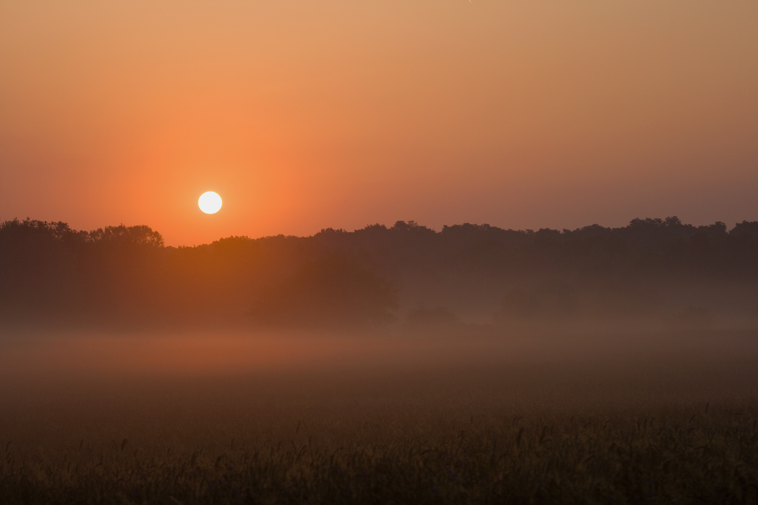 Sonnenaufgang