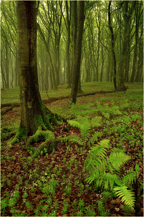 Als wir noch über den Regen schimpften ...