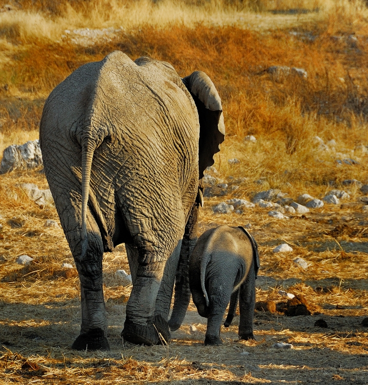 Mama mit Kind