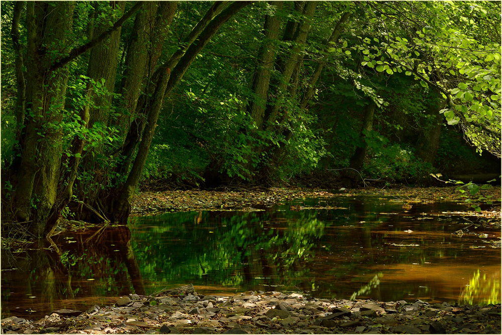 Mittagspause am Bach