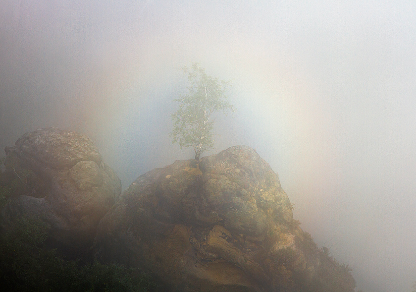 Felsen im Nebel